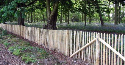 chestnut fencing