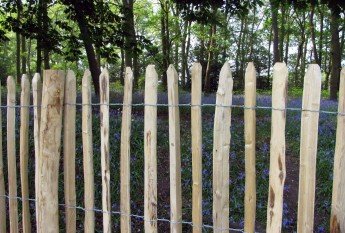 3-wire chestnut fencing