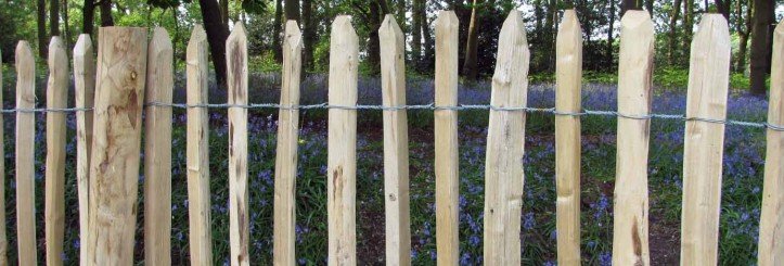 3-wire chestnut fencing