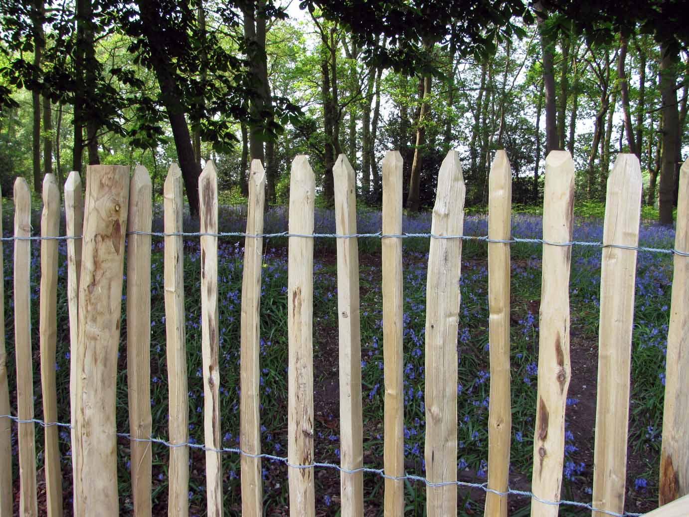 Paling fencing