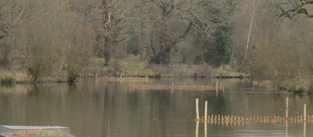fish refuge
